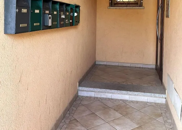 Looney Tunes Apartment